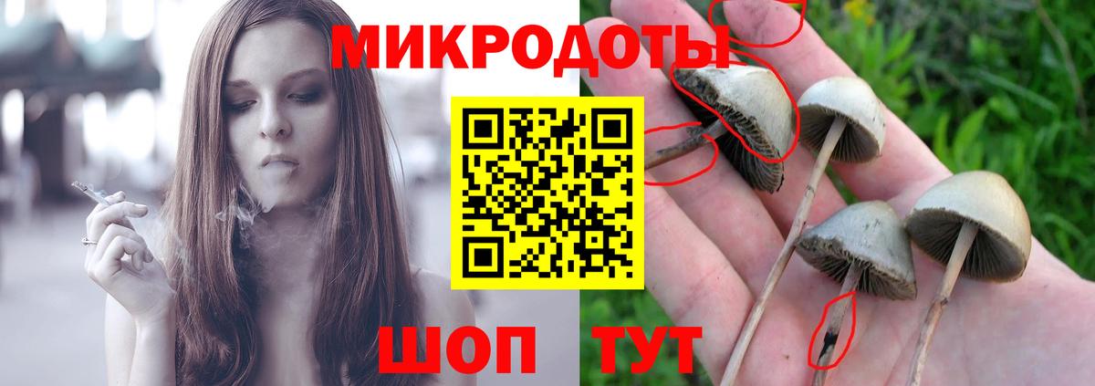 Псилоцибиновые грибы GOLDEN TEACHER  Вход с VPN  Дагестанские Огни 
